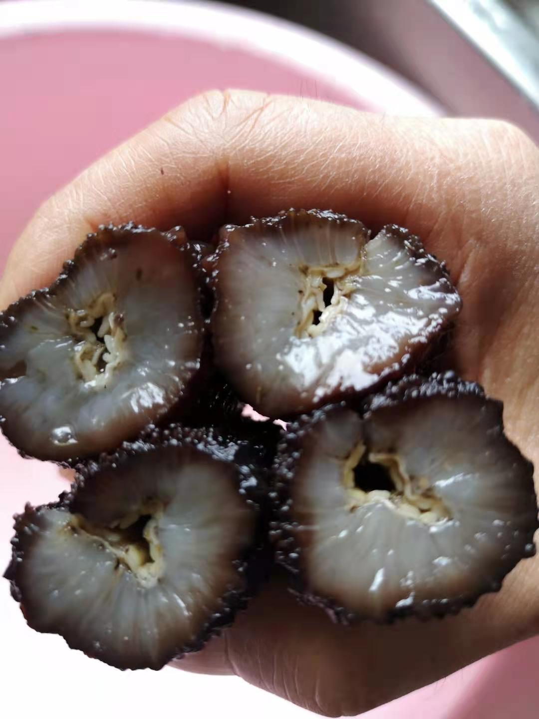 【北大西洋】海参 半磅