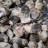 Excellent replay! This week only: Wild Red Whelk Head (2 lbs) Conch Meat